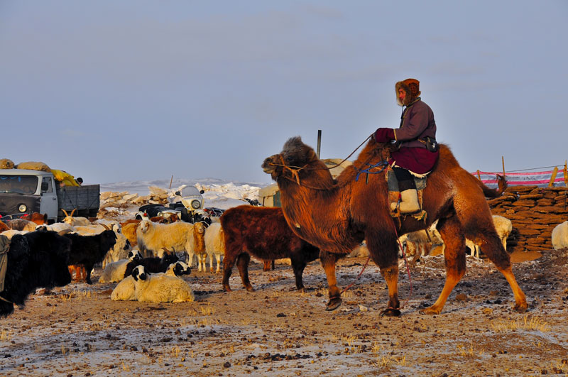 Mongolia